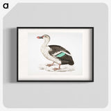 1-49_Indian-Zoology_blk