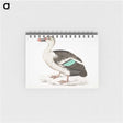 1-49_Indian-Zoology_memo