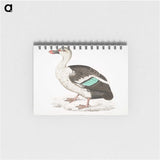 1-49_Indian-Zoology_memo