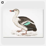 1-49_Indian-Zoology_picture-crop