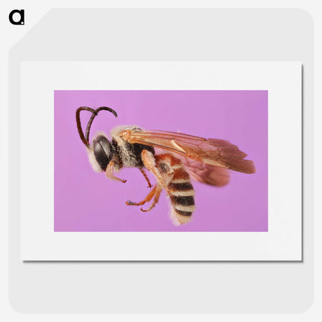 1-49_Insects-Unlocked-Project_picture