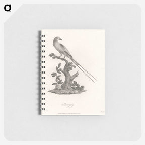 1-49_James-Heath_memo