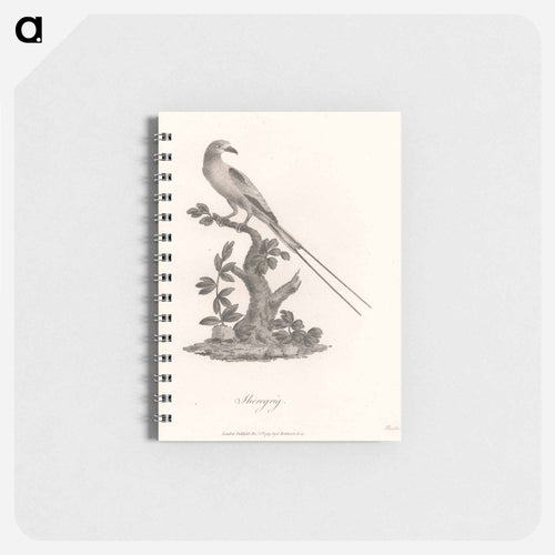 Sheregrig
 - ジェームス ヒース Memo.