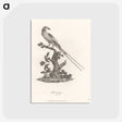 1-49_James-Heath_postcard