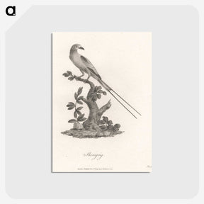 1-49_James-Heath_postcard