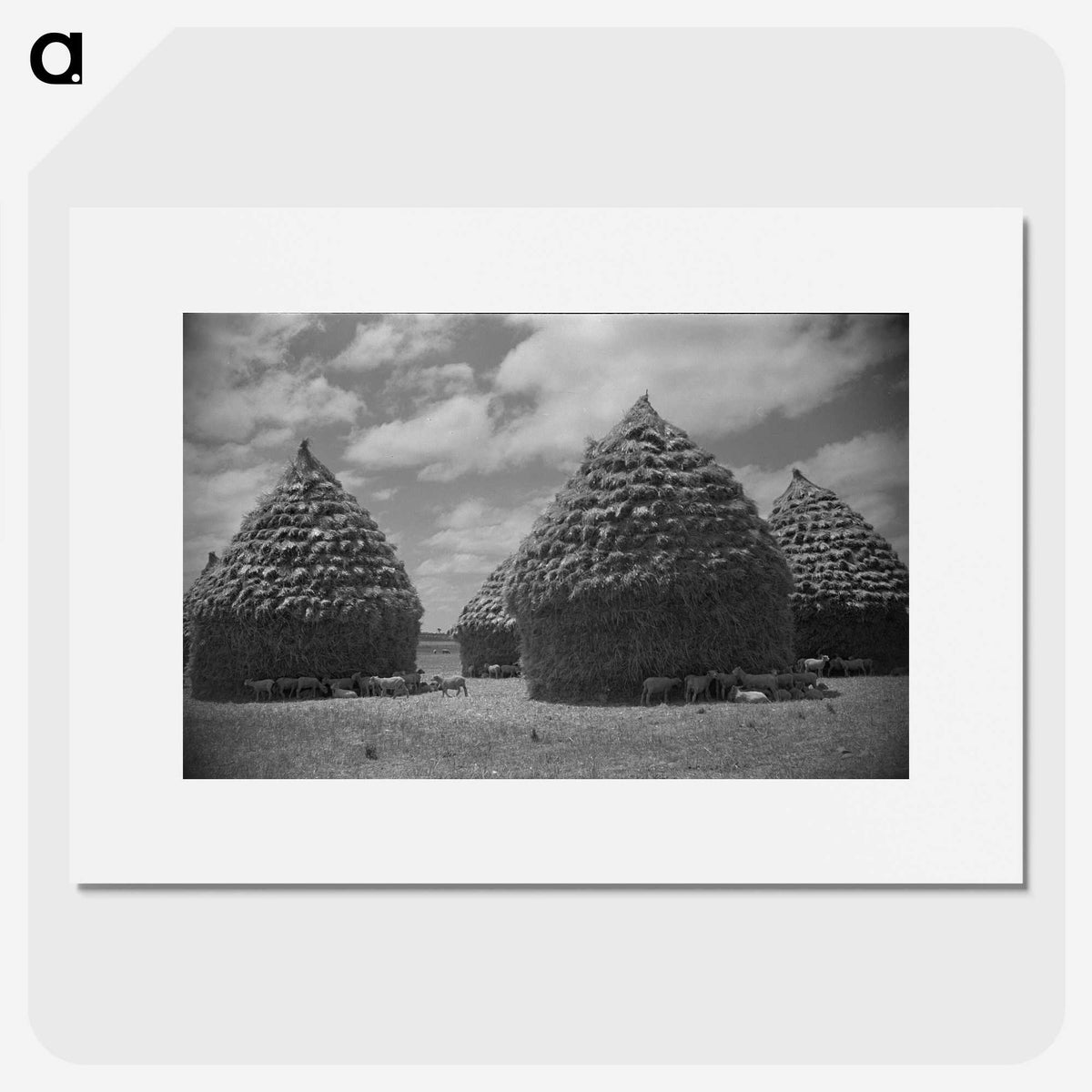1-49_James-Walter-Chapman-Taylor_picture