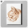 アートパネル-Sketch of a cat - ジャン ベルナール Canvas.