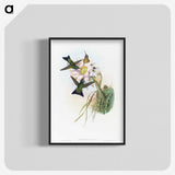 1-49_John-Gould_blk-crop