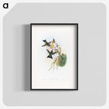 1-49_John-Gould_blk