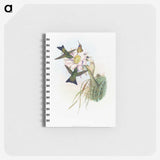 1-49_John-Gould_memo