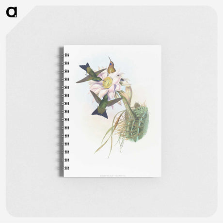 1-49_John-Gould_memo