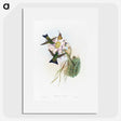 1-49_John-Gould_picture