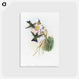 1-49_John-Gould_postcard