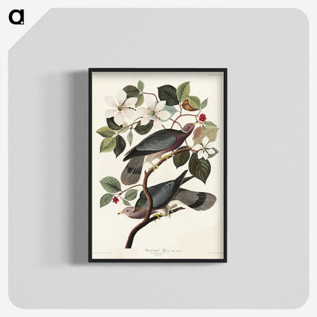 1-49_John-James-Audubon_blk-crop