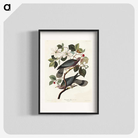 1-49_John-James-Audubon_blk