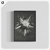1-49_Karl-Blossfeldt_blk-crop