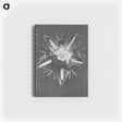 1-49_Karl-Blossfeldt_memo