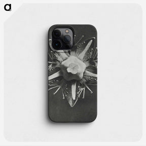 1-49_Karl-Blossfeldt_phone