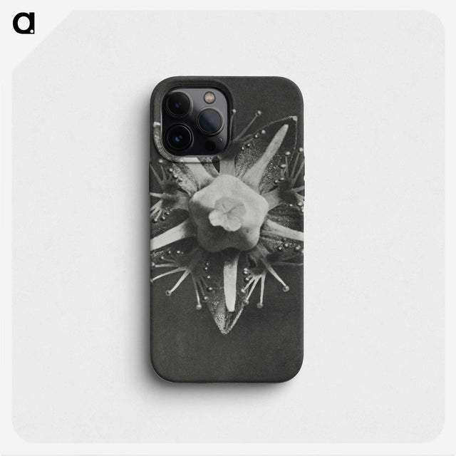 1-49_Karl-Blossfeldt_phone