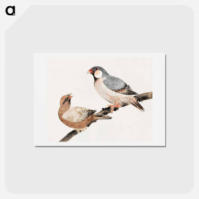 アートポストカード-Katsushika Hokusai's birds - 葛飾 北斎 Postcard.