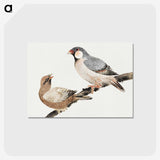 1-49_Katsushika-Hokusai_postcard
