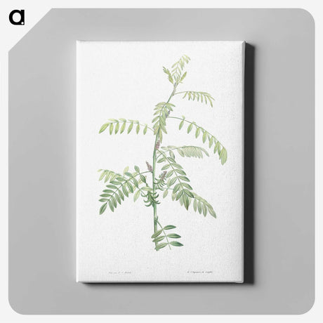 1-49_La-Botanique_canvas