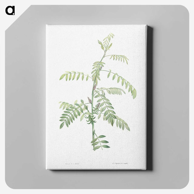 1-49_La-Botanique_canvas