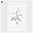 1-49_La-Botanique_picture