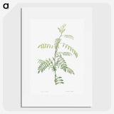 1-49_La-Botanique_picture