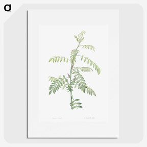 1-49_La-Botanique_picture