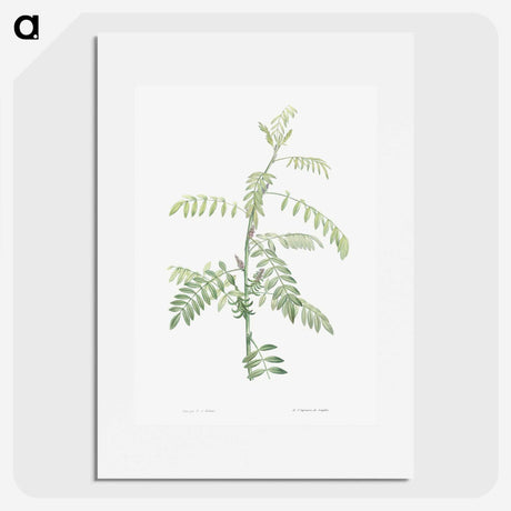 1-49_La-Botanique_picture