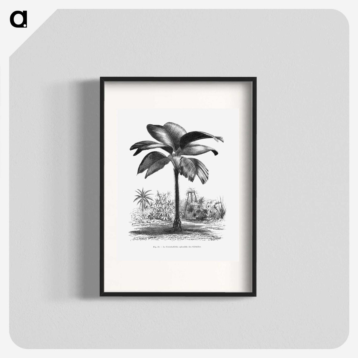 1-49_Les-Palmiers-Histoire-Iconographique_blk