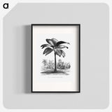 1-49_Les-Palmiers-Histoire-Iconographique_blk