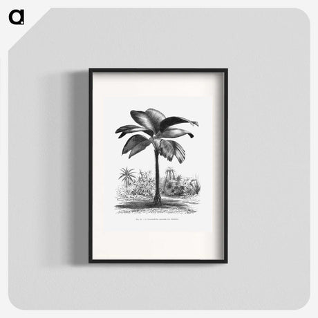 1-49_Les-Palmiers-Histoire-Iconographique_blk