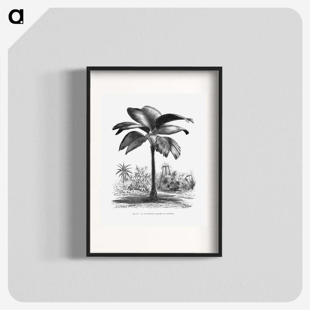 1-49_Les-Palmiers-Histoire-Iconographique_blk