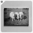 1-49_Leslie-Adkin_canvas