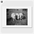 1-49_Leslie-Adkin_picture