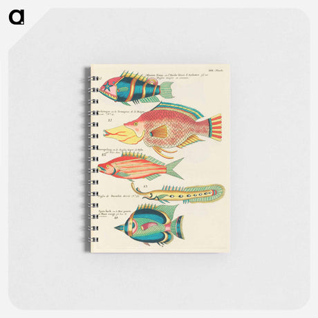 アートメモ帳-Moluccan Fishes
 - ルイ ルナール Memo.