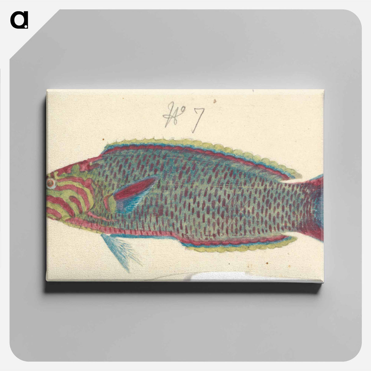 アートパネル-A Fish
 - ルイージ バルガーニ Canvas.