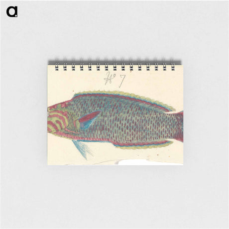 アートメモ帳-A Fish
 - ルイージ バルガーニ Memo.