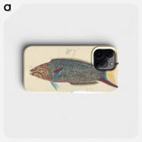 A Fish
 - ルイージ バルガーニ Phone Case.