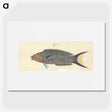 1-49_Luigi-Balugani_picture