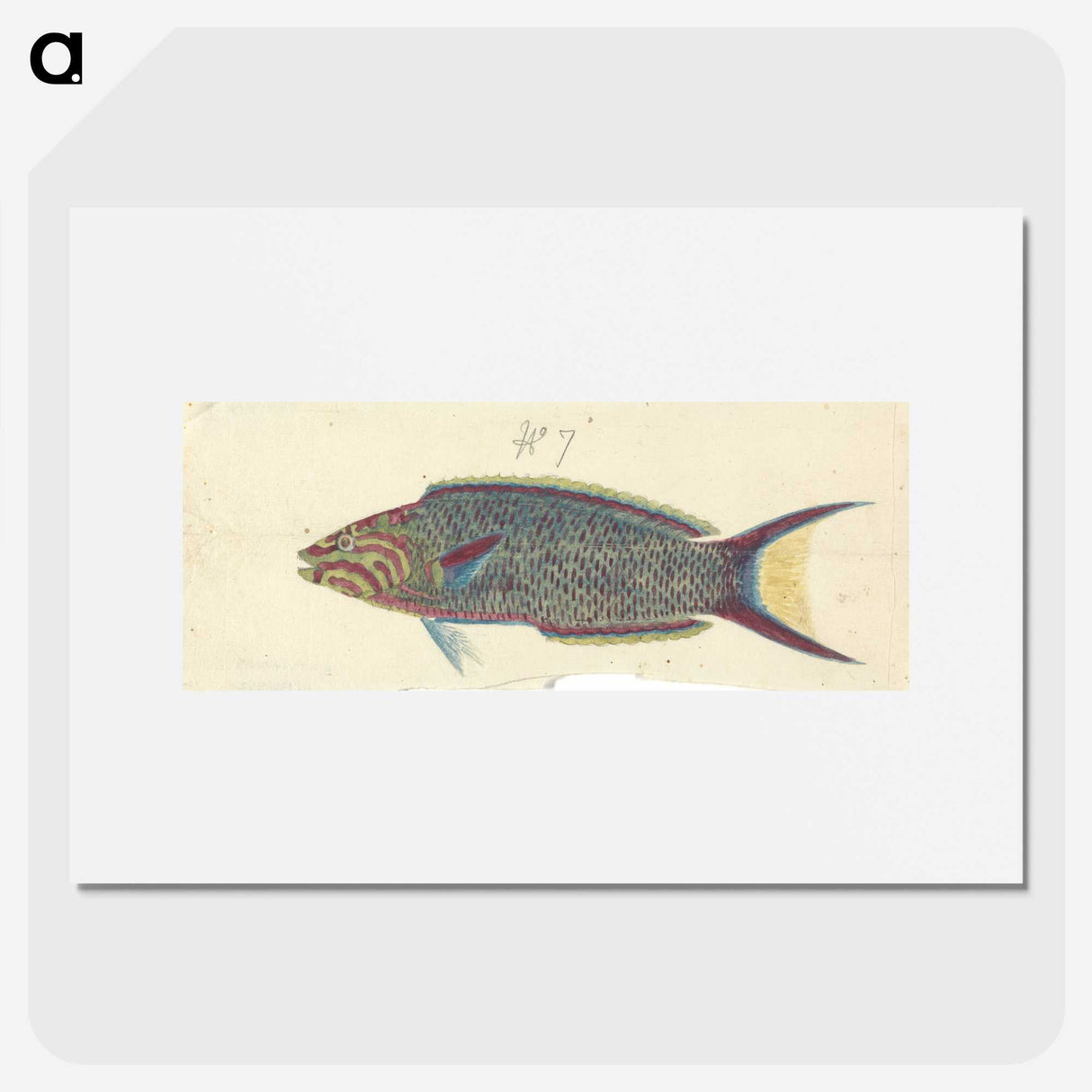 1-49_Luigi-Balugani_picture