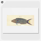 1-49_Luigi-Balugani_picture