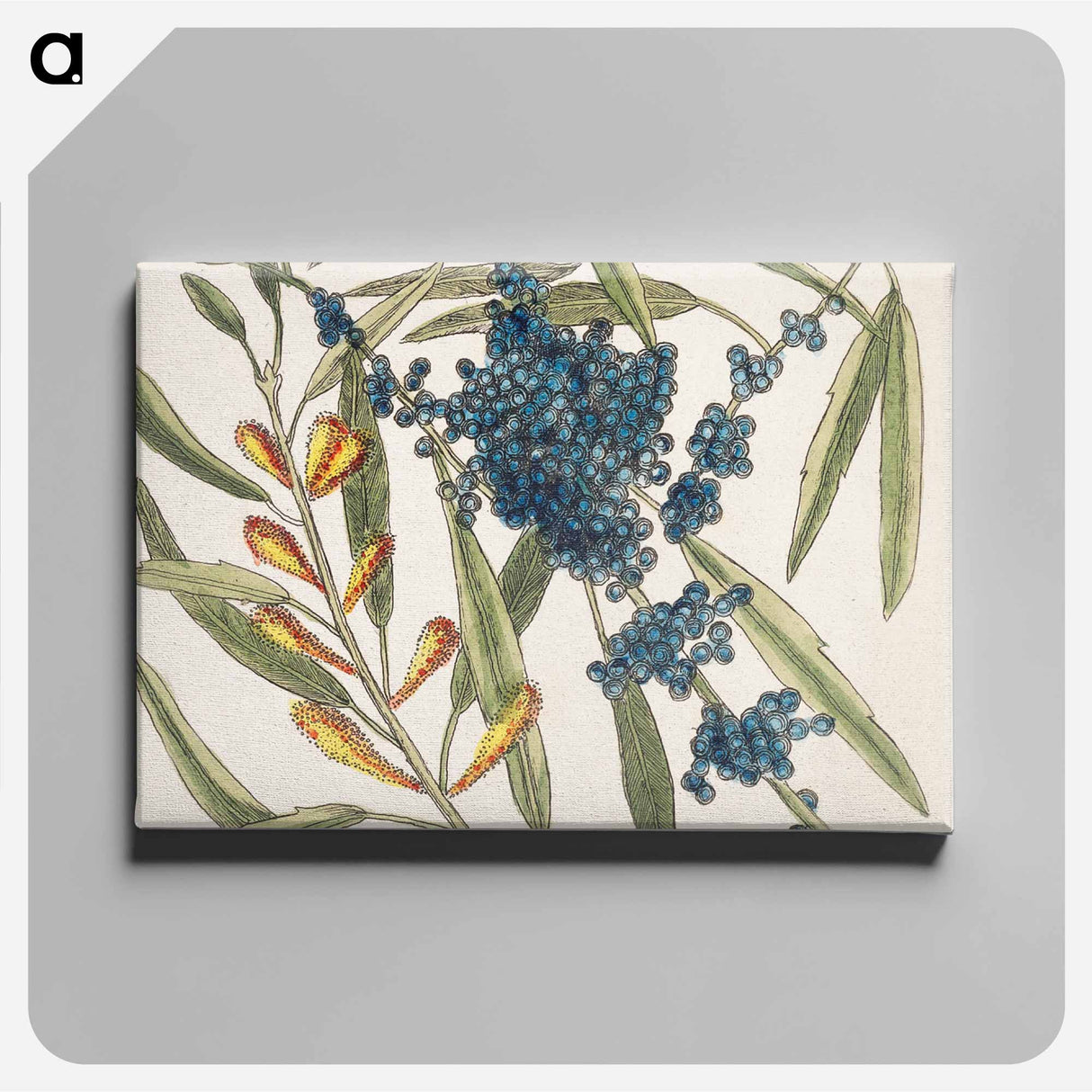 アートパネル-Sorrel Tree and Acacia
 - マーク ケイツビー Canvas.