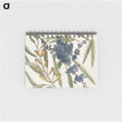 1-49_Mark-Catesby_memo