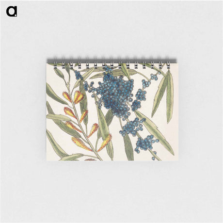 アートメモ帳-Sorrel Tree and Acacia
 - マーク ケイツビー Memo.