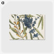 1-49_Mark-Catesby_postcard