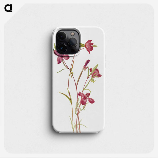 1-49_Mary-Vaux-Walcott_phone