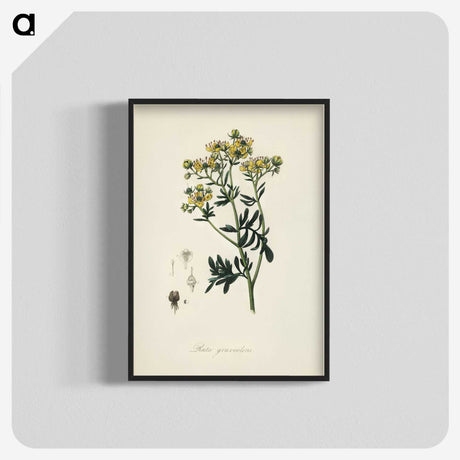 1-49_Medical-Botany_blk-crop